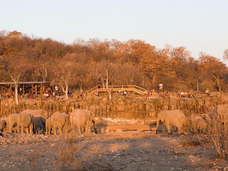 Halali Camp Hotel Etosha Exterior photo